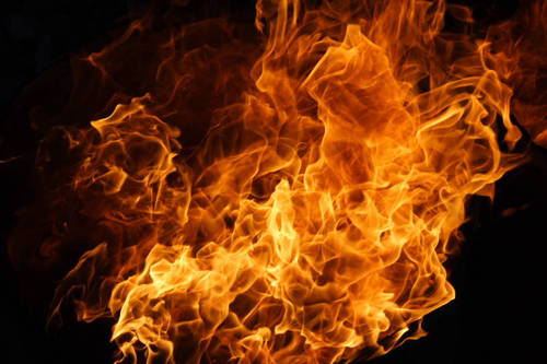 Aptholi's profile picture. Rien