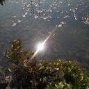 Loretta McCann - @lorettamccann - Twitter