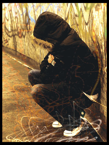 alshabibi03's profile picture. 