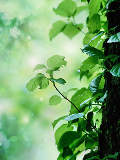 skelet3110's profile picture. Как правильно воспитывать детей, знают только те… у кого их нет!