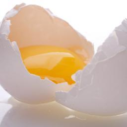 younotmykin's profile picture. The truth about odd future , the industry Rape in the industry and why people get raped. LEARN SOMETHING