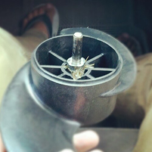 fishermen have problems too… #FishinProbs