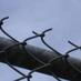 BC Prison Justice (@bcprisonjustice) Twitter profile photo