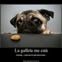 Benjamín Salazar T - @bsalatre - Twitter