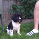 Nicole Marie Sole - @nick_4585 - Twitter