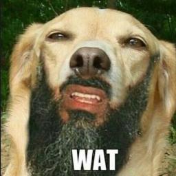 ShitFundiesSay_'s profile picture. Religious nut-cases make me laugh, and cringe a little. I just share the giggles with MAH AWESUM FOLLOWERS ♥. Remember kids: #DontBeStupid!