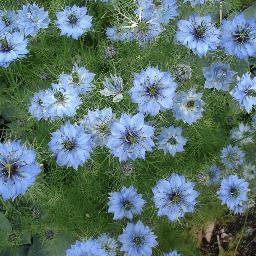 debbie200823's profile picture. 