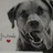 jo_jog11's profile image