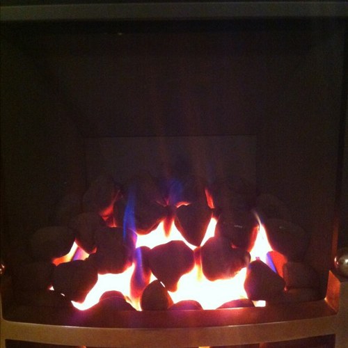 WeaverMarcus's profile picture. 