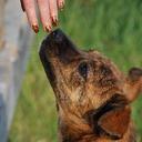 Cara Perkins - @CaraPerkins13 - Twitter