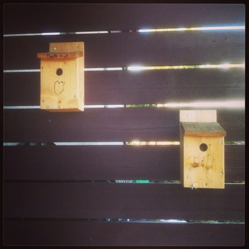 Karinamor's profile picture. 