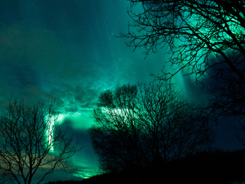 tomkolas's profile picture. Me