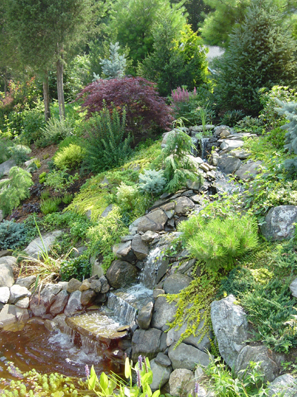 Organic oriented landscape design, build and ecological restoration firm