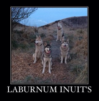 Home town,barrow-in-furness (where nuclear ships are made). With my lovely guy, son, 5 northern inuits wolf like dogs and spring/lab, 3 cats. Rescue animals !!