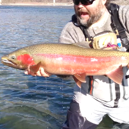 pembyfishfinder's profile picture. Proud Owner of Pemberton Fish Finder Year round Fishing Guides in Whistler BC, Canada and Spud Valley Sporting Goods Ltd. Providing Sporting Goods since 1976.