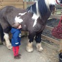 Leann Willis - @bunnowillis - Twitter