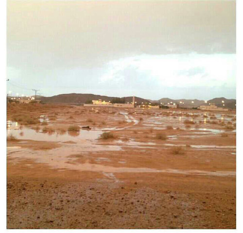 NAWAF1125's profile picture. 