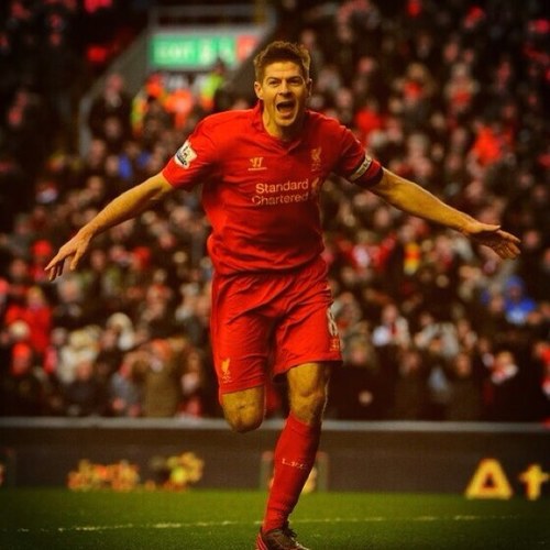 shnes29's profile picture. 