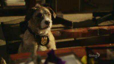 ericcolsenfan's profile picture. Guy, love crime dramas & much more, Densi shipper, Eric Christian Olsen fan (obviously), Ruahtic & fan of many more people! Also on @bushyeyeballs