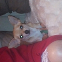 Dianne Blake - @Blake24Dianne - Twitter