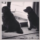 Ken Kaiser - @55kais - Twitter