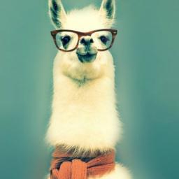 Postureo_Molina's profile picture. Experto en postureo. MOLINA DE ARAGÓN