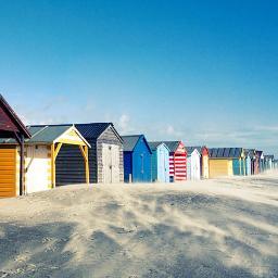 WestWittBeach's profile picture. Great Place. Great Day.