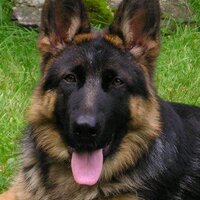 Karlsruhe GSD (@karlsruhegsd) 's Twitter Profile