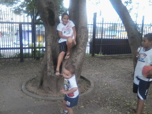 GustavoLatinha's profile picture. 