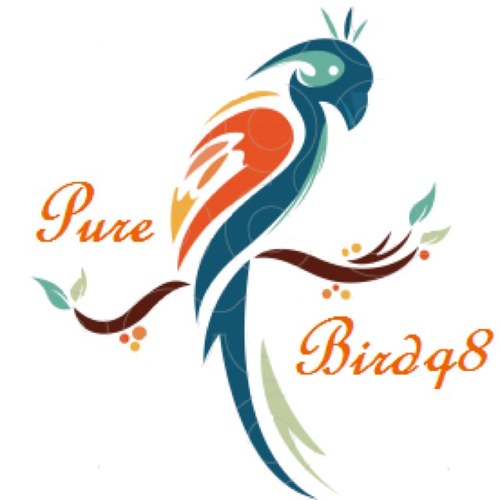 pure_birdq8's profile picture. حساب متخصص بانتاج الكاسكو الافريقي و الامزون وطيور الحب. 




Whatsapp:67716584
Instgram : @pure_birdq8