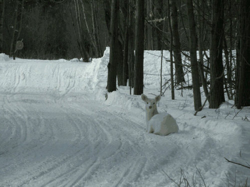 vien_janet's profile picture. 