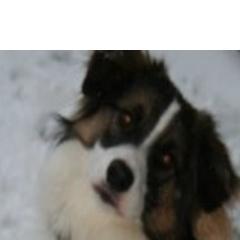 asaprayer's profile picture. 