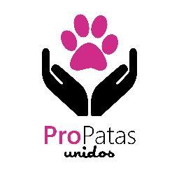 Somos voluntarios de Tres de Febrero, que nos unimos con el fin de rescatar y asistir animalitos abandonados en situación de calle o maltrato.