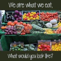 #L'humain (#santé #nutrition #cuisine bio) #animaux #écologie #actu #musique #photos #plantes, jardin  +++...
