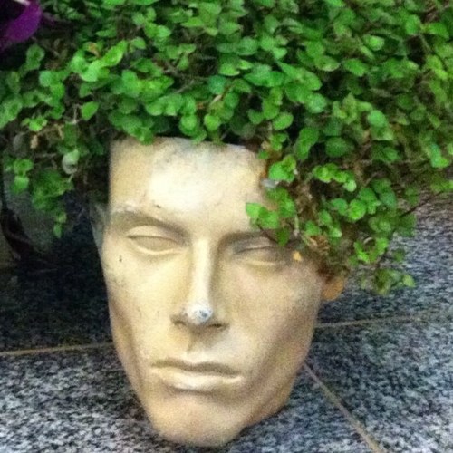 Tarado é um cara normal pego em flagrante. Esse cara sou eu!