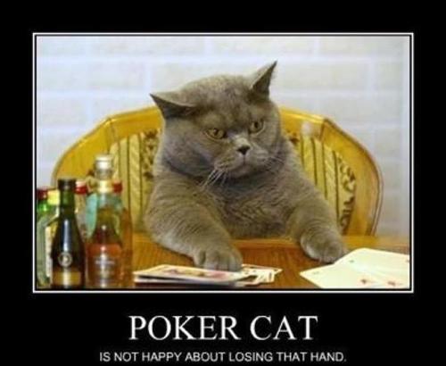 SemiProker's profile picture. Official @Twitter account of a semi-pro #poker player #SemiPROker #GoodsKill #SHIPPiT!
