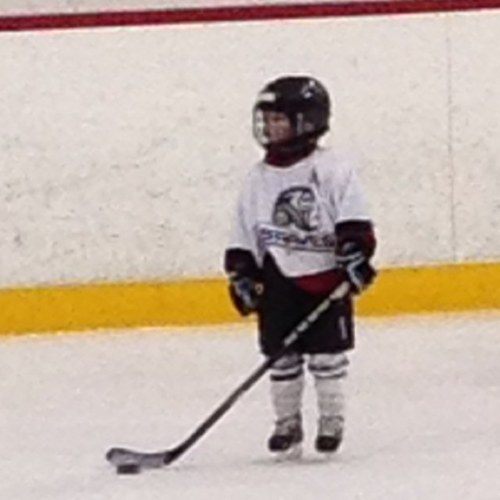 stevewitteveen's profile picture. 