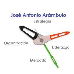 Estrategia empresarial, modelo de negocio, organización y dirección.