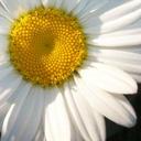 Kim McNulty - @KimblyMc - Twitter