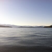 Robin Bianco (@robinbianco) 's Twitter Profile