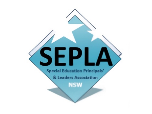 The NSW Special Education Principals' and Leaders' Association (Formerly NSW SSP Principals' Network). BIGGER and STRONGER than you think!