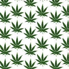 I am a Student Athlete. Helping to further action against the notion that weed makes people lazy #StayHigh #StayGrindin'