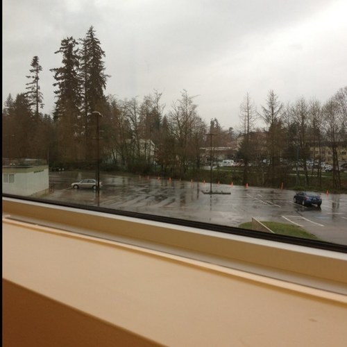 maldivee's profile picture. 