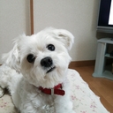 kanako (@0305knk) Twitter