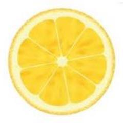 sepertinyaCOM Profile Picture