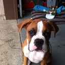 John Mayhew - @Mayhew916 - Twitter