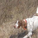 Greg Boutwell - @FireChiefOzark - Twitter