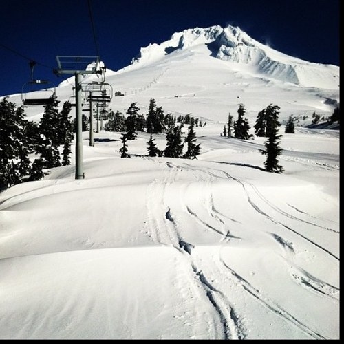 ❄ ❄ ❄ female boarder 19 ☽ East coast reppin'