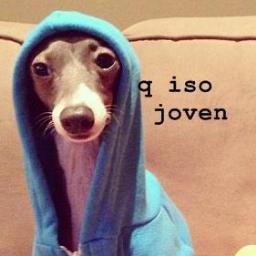 Twitter OFICIAL.