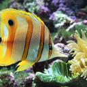 JoyHerrera89 - @JoyHerrera89 - Twitter